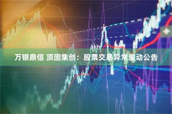 万银鼎信 顶固集创：股票交易异常波动公告