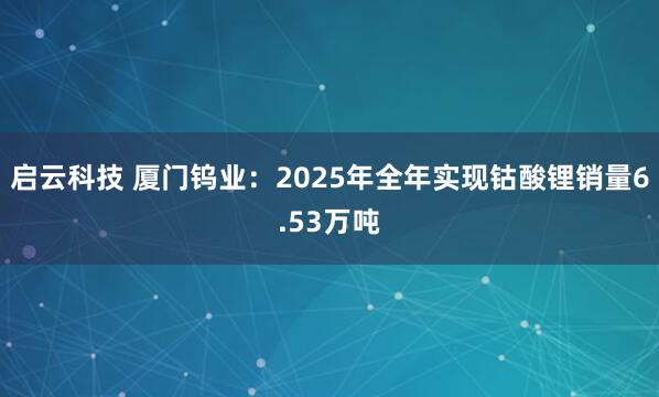 启云科技 厦门钨业：2025年全年实现钴酸锂销量6.53万吨